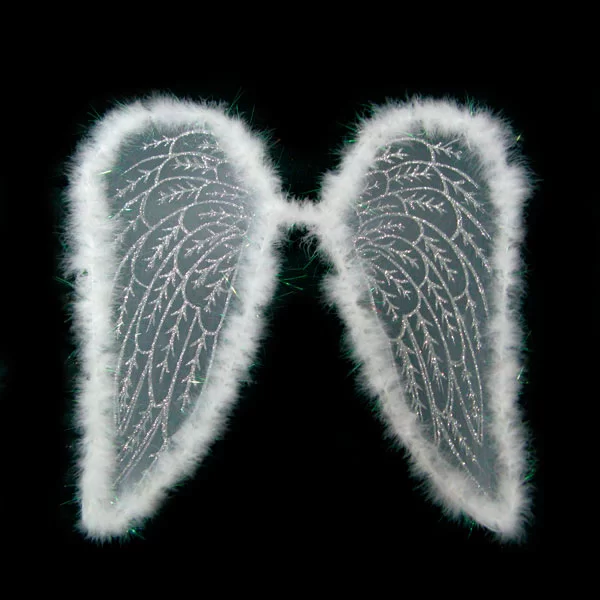 "Крылья ангела" напрокат в Минске