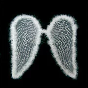 "Крылья ангела" напрокат в Минске